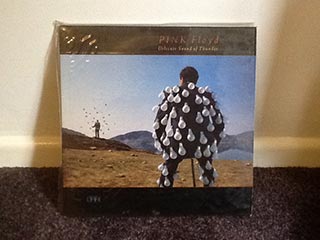 Vinyl Pink Floyd Delicate Sound of Thunder